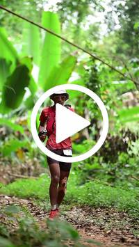 BIB:  <button type="button" onclick="openModal(26822454)" class="btn btn-primary btn-sm float-right" data-toggle="modal" data-target=".modal-high-quality">
                <i class="fa fa-download"></i> Download
                </button>